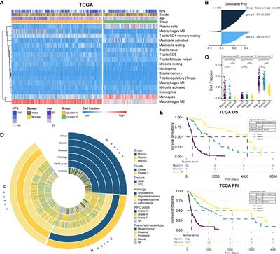 Frontiers Integrated Genomic Transcriptomic And Epigenetic Analyses